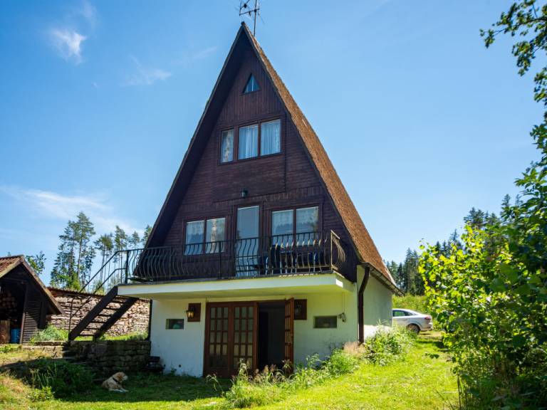 foto1