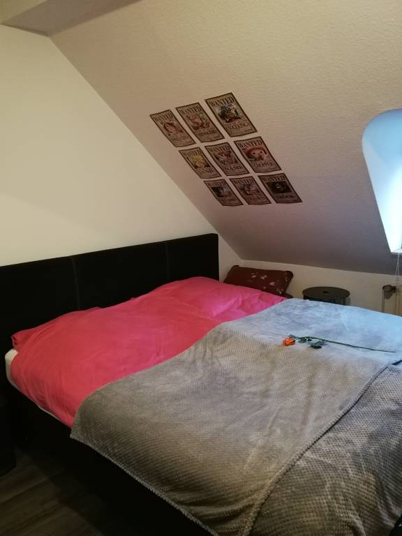 foto2