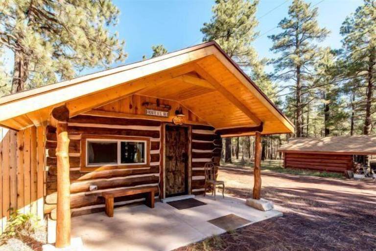 Cabin Parks