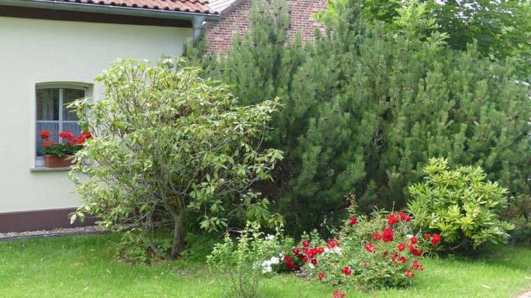 Ferienhaus Bad Saarow