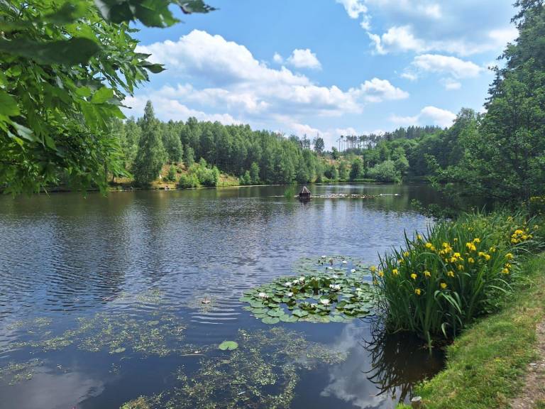 foto28