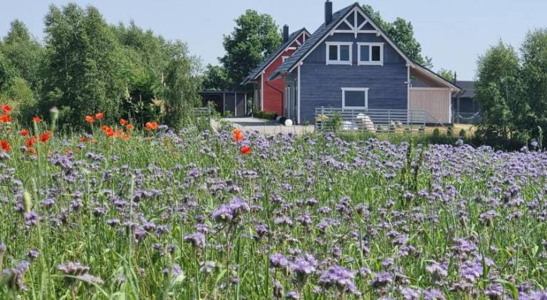 Vacation home with sauna, patio & yard in Somonino
