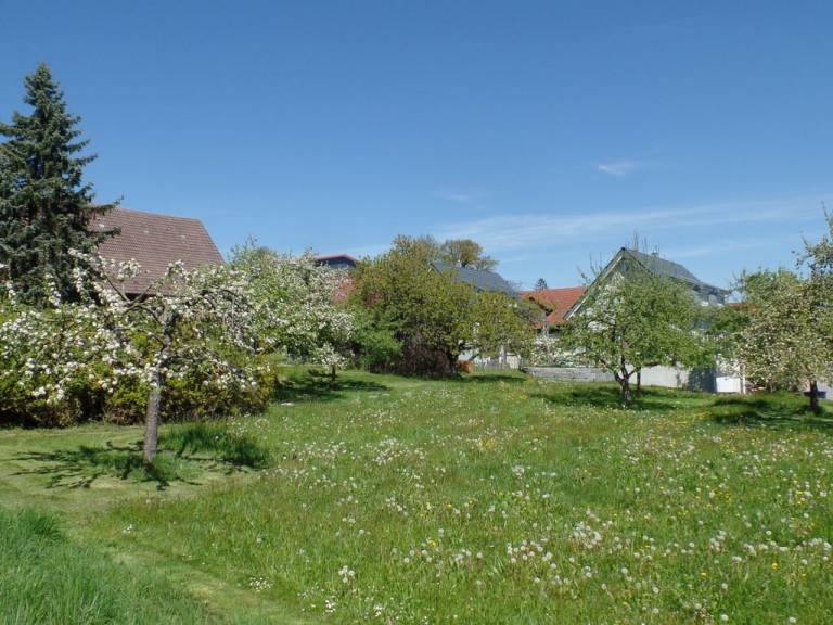 foto19