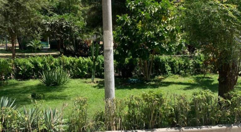 foto6
