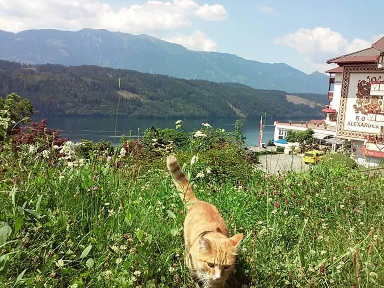 foto17