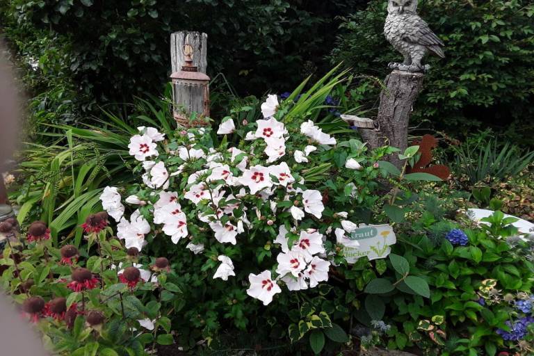 foto7