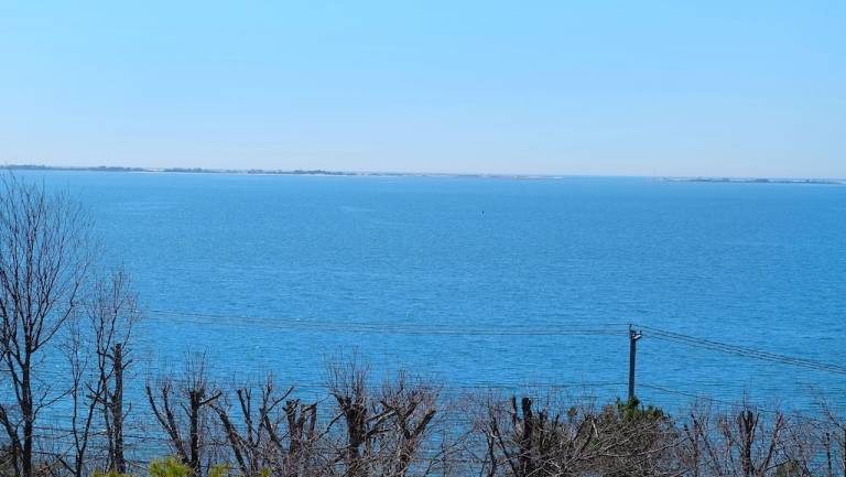House Hampton Bays