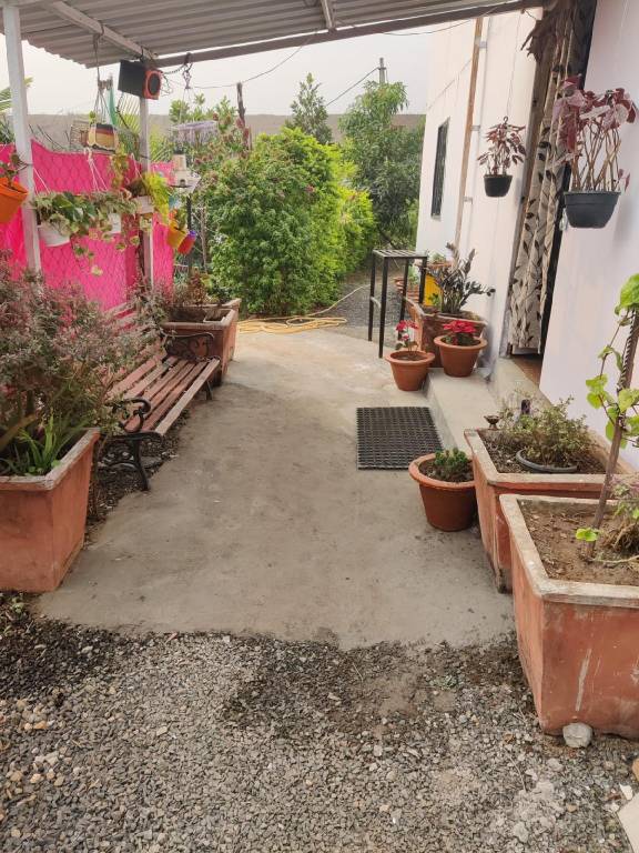 foto6