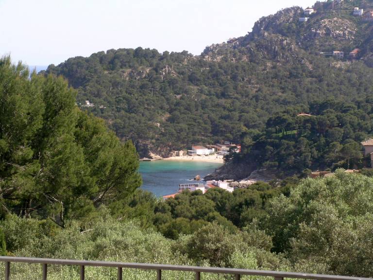 foto5