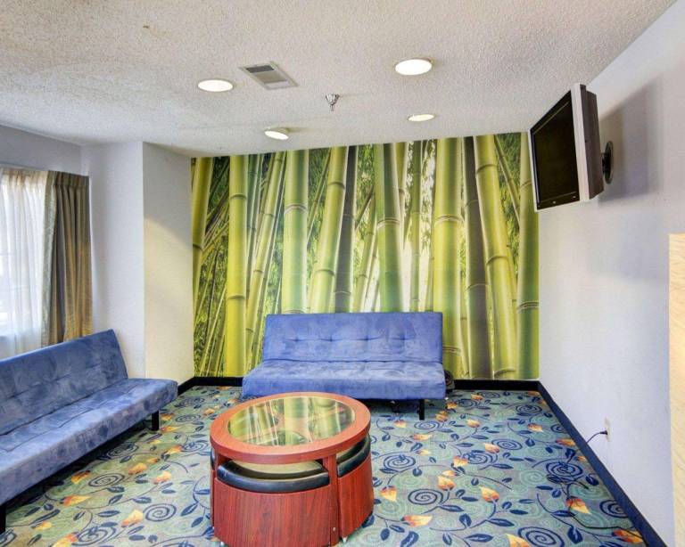 Rodeway Inn & Suites Lewisville I-35 — photo 5