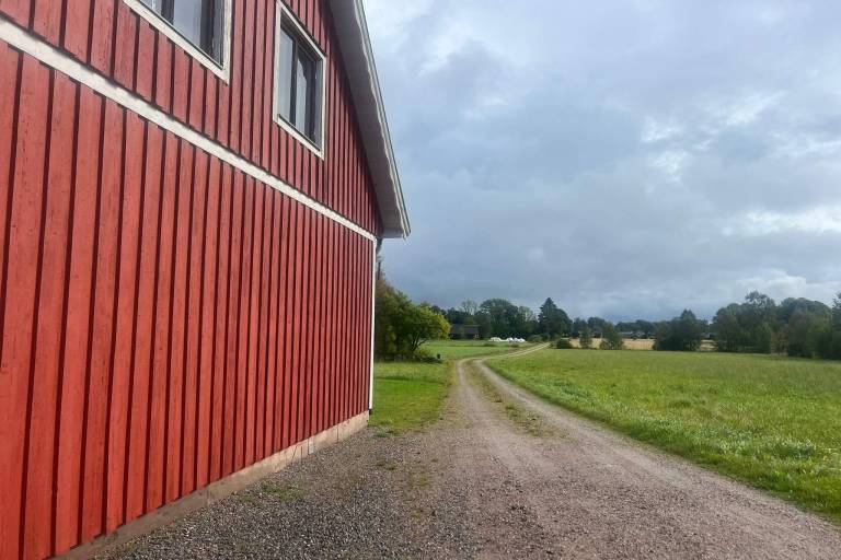 House with garden | Pets are welcome — photo 4