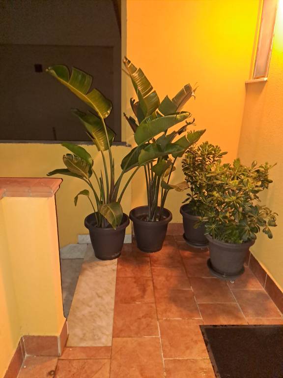 foto5