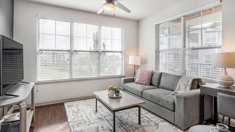 Apartment  Palmona Park