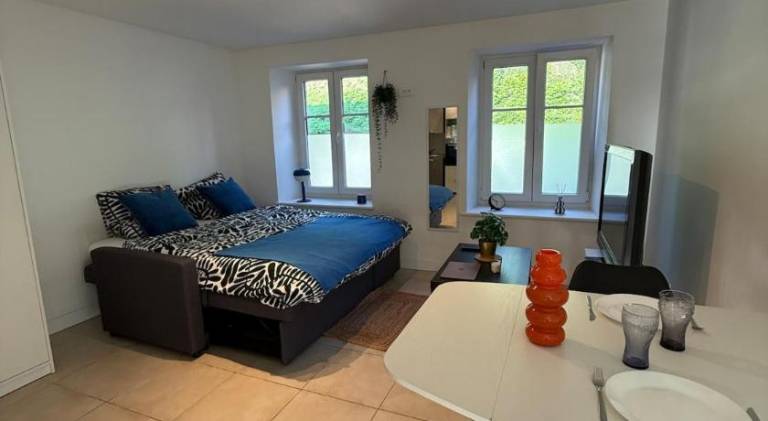 Rental apartment with 1 room for 2 persons in Belfort
