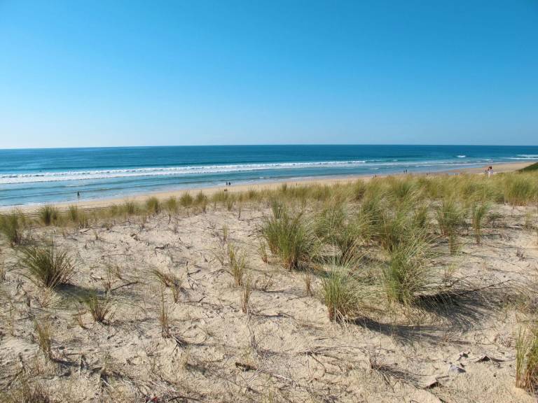 Apartamento Biscarrosse