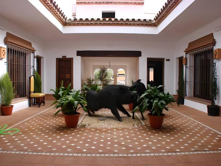 Serviced apartment with patio, pool & BBQ in Cáceres