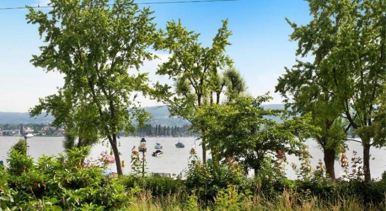 Ferienwohnung Allensbach