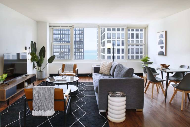 Apartment Streeterville
