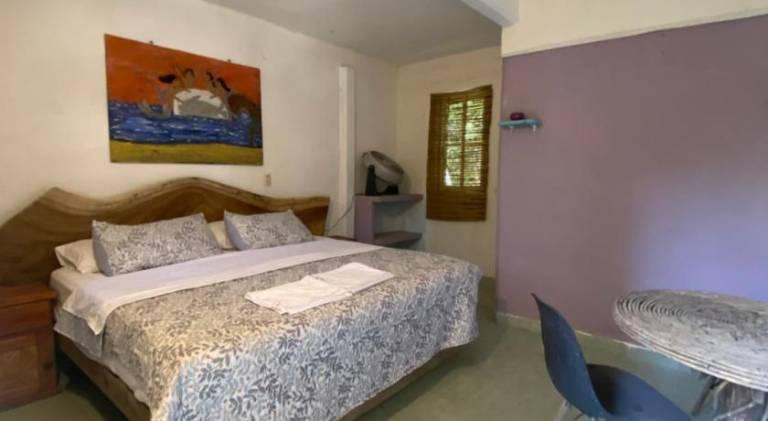 Jardin del Mango Nu in Mazunte