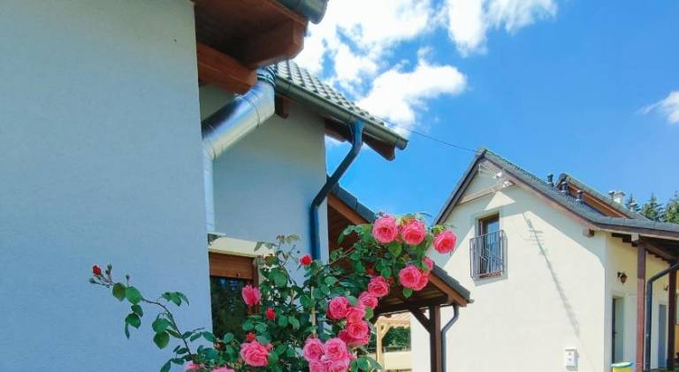 resort  Božanov