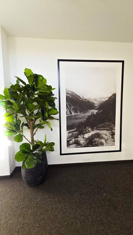 Apartment with garden — photo 3
