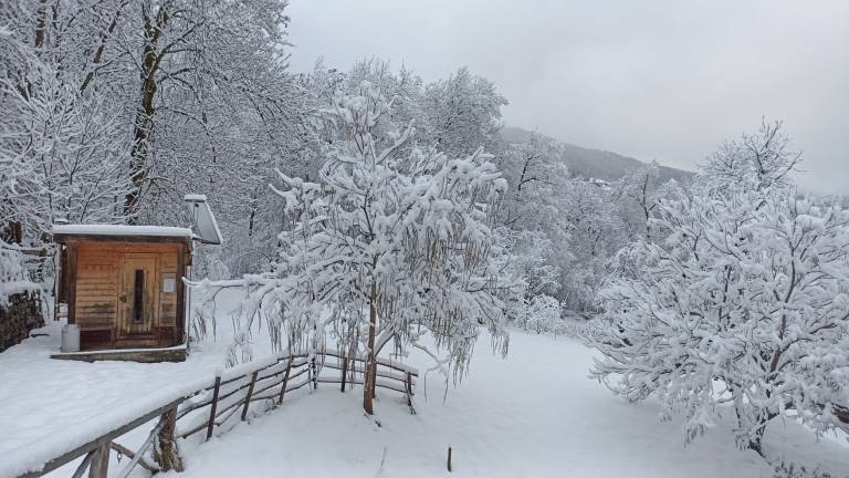 Chalet  Vallandry