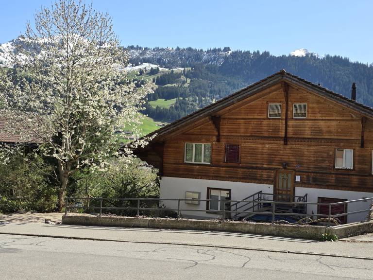 Ferienwohnung  Zweisimmen