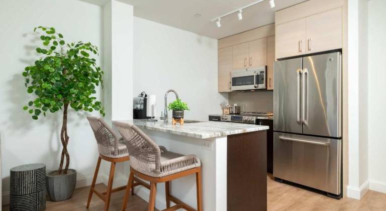 Upscale Penthouse with Gym Parking near MGH TUFTS — photo 4