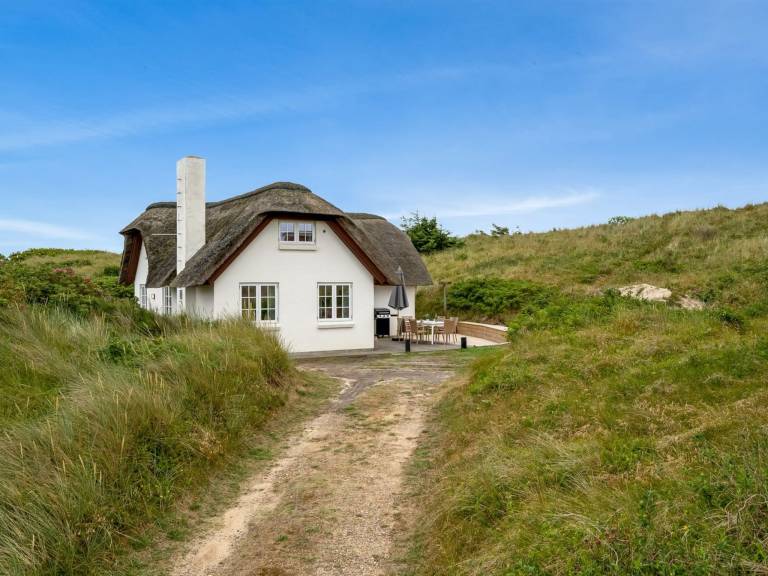 Ferienhaus Hvide Sande