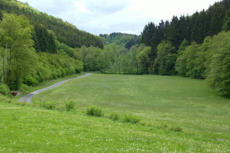 foto20