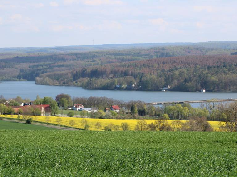 foto14