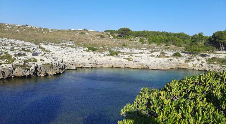 B&B IL PALOMBARO in Minervino di Lecce