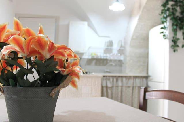Apartment | Pets are welcome in Franca