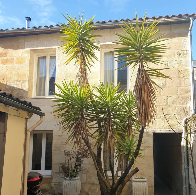 Casa Burdeos