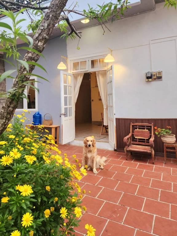 Bungalow with barbeque & yard | Perfect for remote work | Pets are welcome in Da Lat