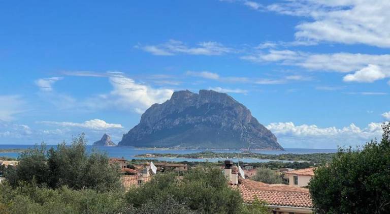 Holiday apartment with BBQ, patio & yard in Loiri Porto San Paolo