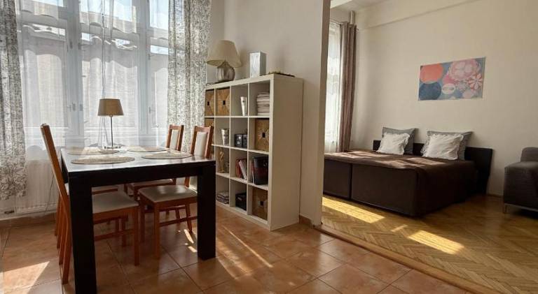 Rental apartment | Near Prague astronomical clock | Pets are welcome in Prague