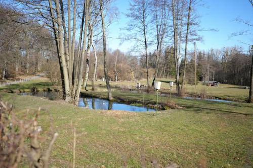 foto16