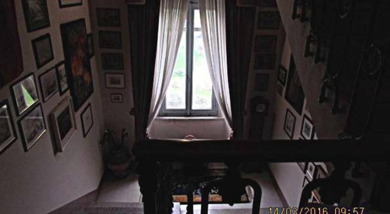 foto38