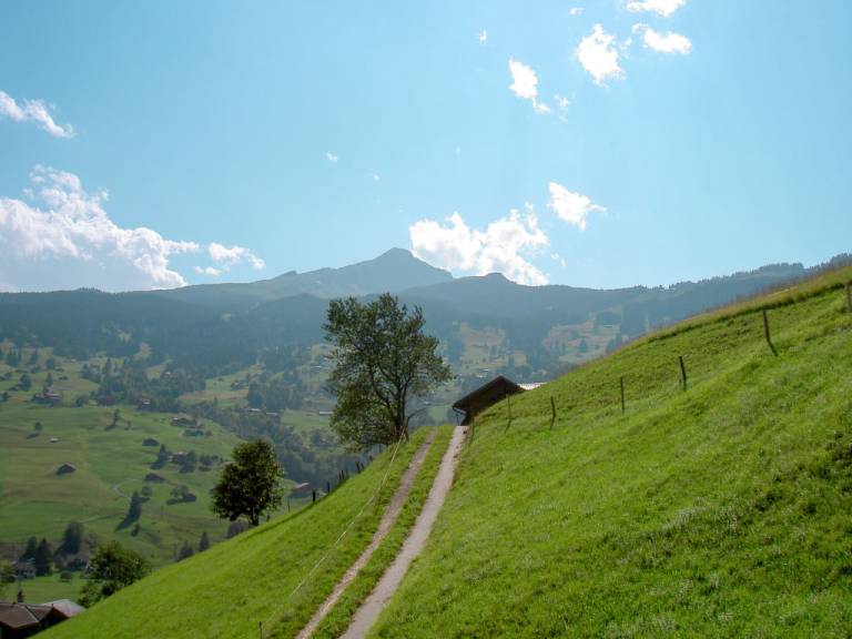 foto17