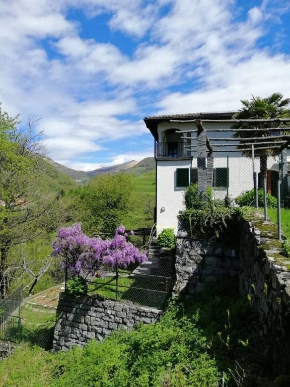 foto41