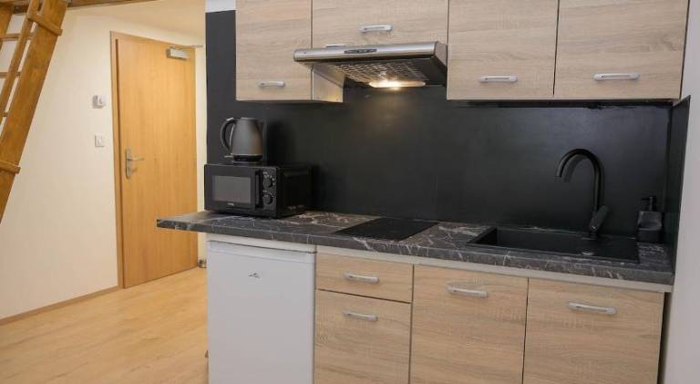 Rental apartment with 1 room for 2 persons in Prague