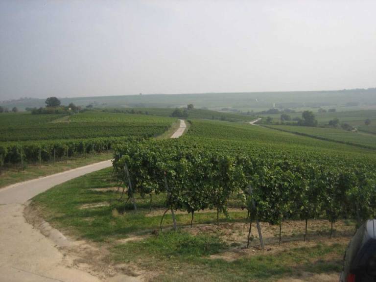 foto16
