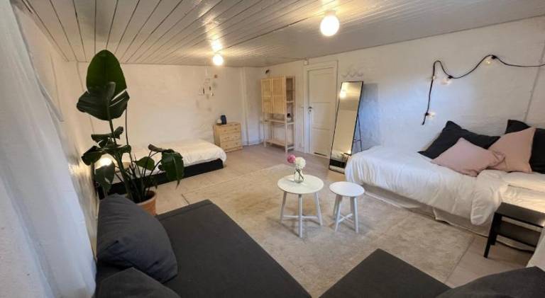 Rental apartment with yard | Pets are welcome in Gothenburg