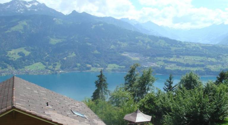 Serviced apartment with pool, sauna & terrace in Unterseen