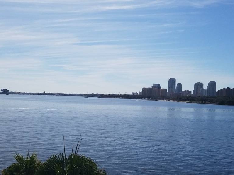Children-friendly charming house with terrace & BBQ | Water view | Pet-friendly in St. Petersburg, FL
