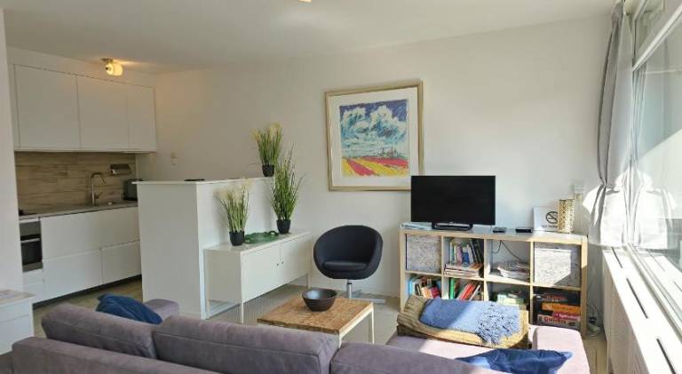 Holiday apartment with pool in Zoutelande