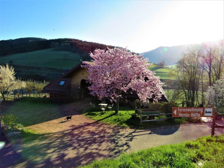 Ferienwohnung Elzach