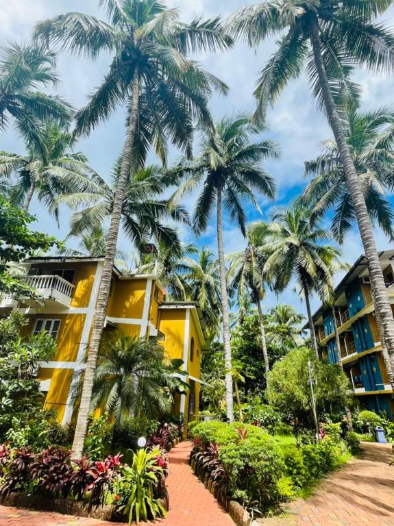 Lushy Days Palm Resort — photo 4