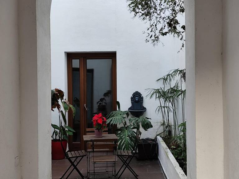 Rental apartment | Next to Metropol Parasol | Dogs allowed — photo 4